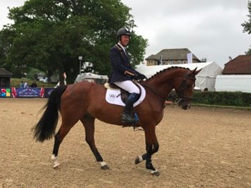 Enamorado Seventh in Main Arena, Hickstead