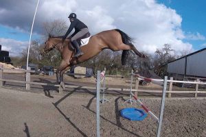 jb-showjumping-out-about-5