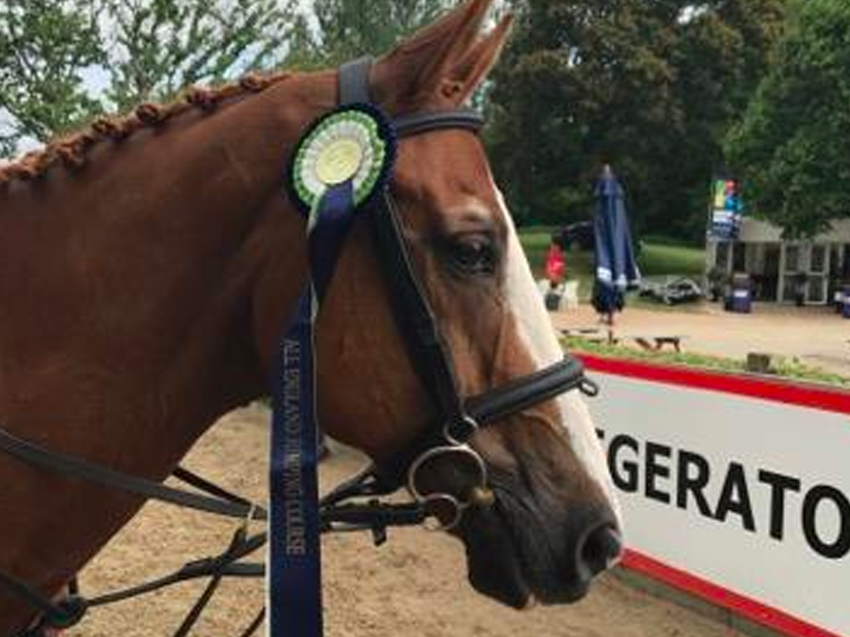 Marcel Second in Main Arena, Hickstead